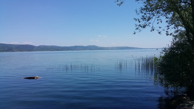 Sapanca Gölü Nerede?