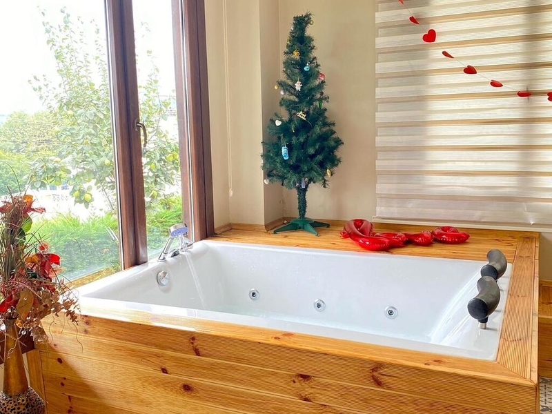 Sapanca Ayvar Tiny House 1