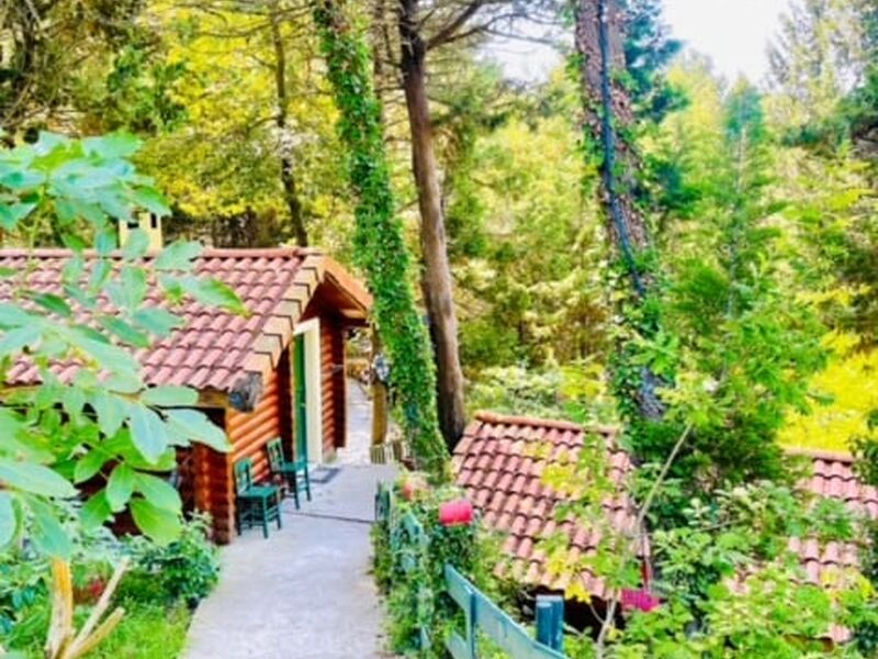 Ağva Orman Evleri Forest Lodge