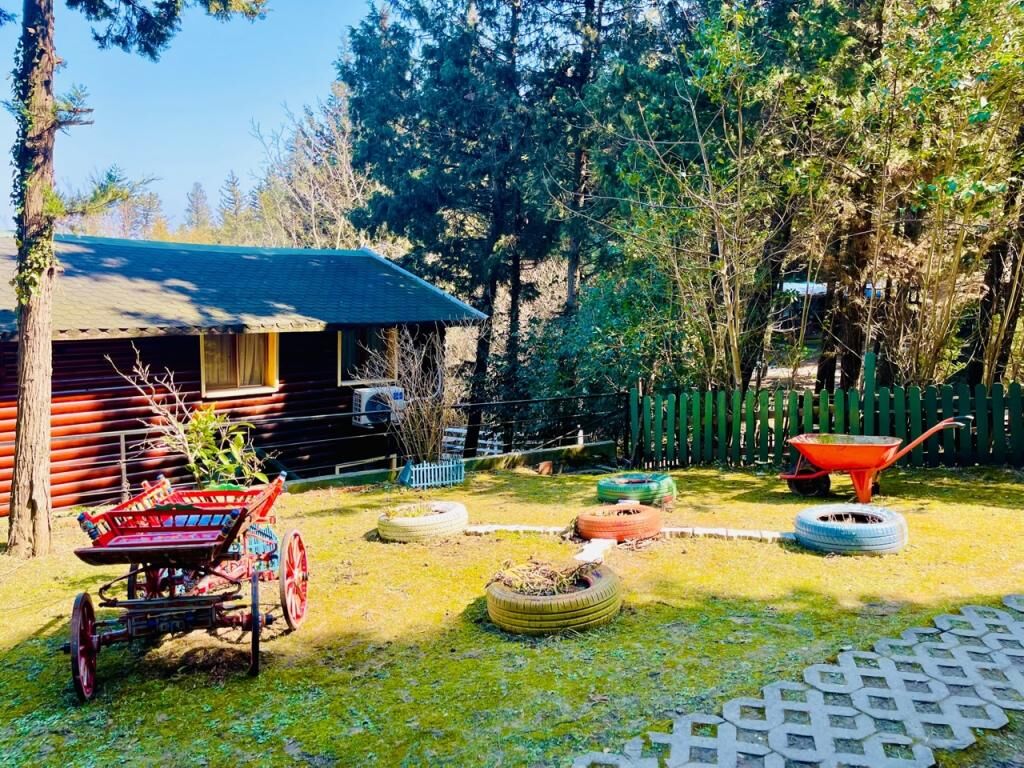 Ağva Orman Evleri Forest Lodge
