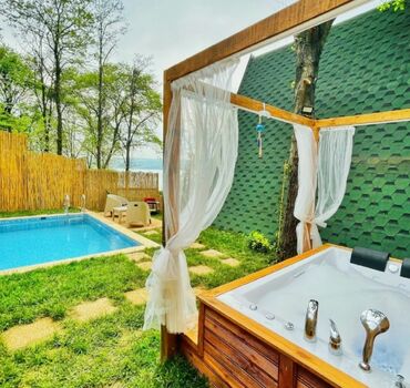 Sapanca Tree D Suit