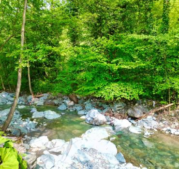 Sapanca Dere Glamping