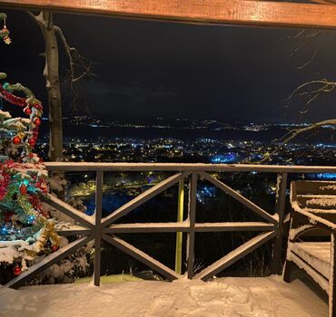 Sapanca Tepedeki Yeşil Dağ Evi