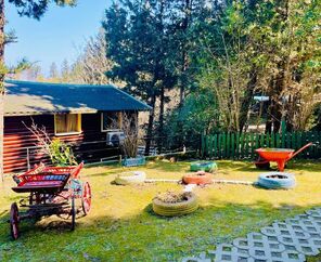 Ağva Orman Evleri Forest Lodge
