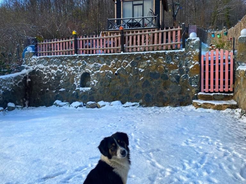 Sapanca Tepe Bungalov