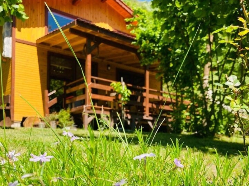 Sapanca Kartal Vadisi Bungalov