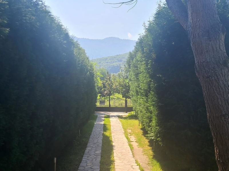 Life Villa