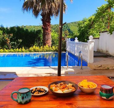 Sapanca Special Villa